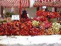 06 Giessen Market 2 * Flower stand at the Giessen market * 800 x 600 * (235KB)
